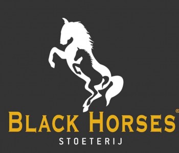 Vacature paarden dierenarts