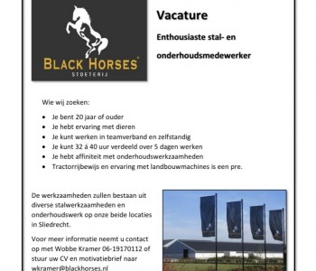 nieuws-ae06d06c-7366-46ce-8491-2528243bdaa8.jpeg