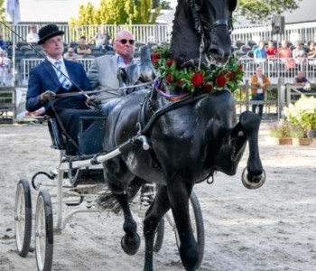 nieuws-af3d1092-40e4-4881-b8dd-6a95e1927028.jpeg