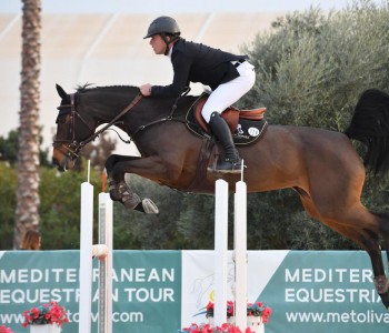 paard-a4ad431d-afe7-4d39-be92-23c033338bea.jpeg