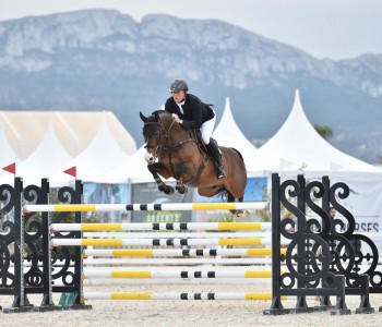 paard-cb111615-ea69-41e2-ad40-24ed7b6ba3ad.jpeg
